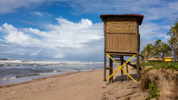 istock Save the sea. Beautiful beach in Bahia Brazil 1241735155