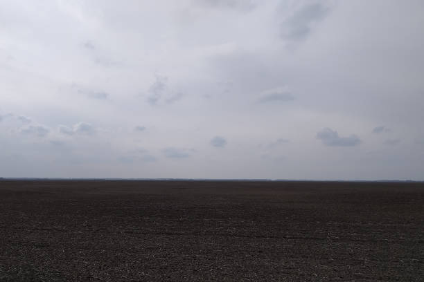 Gloomy agricultural field after harvesting corn. Overcast landscape.