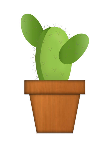 istock Green cards in the brown planter on a white background. 1241751258
