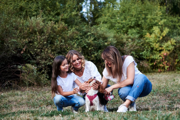 istock Family walk with dog 1241765344