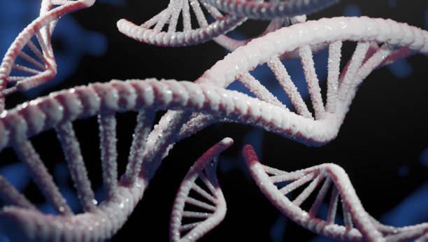 istock The 3d imagine of the DNA 1241773423