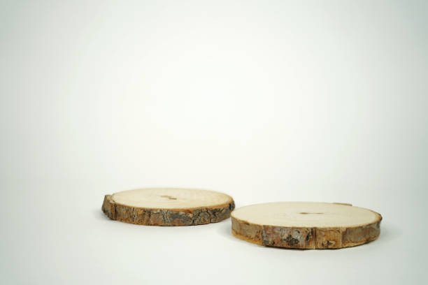 istock Scene with wooden log with podium for product 1241776156