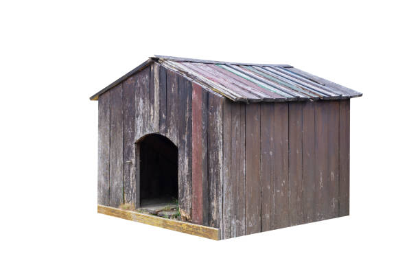 istock old wooden doghouse isolated on white background 1241811551