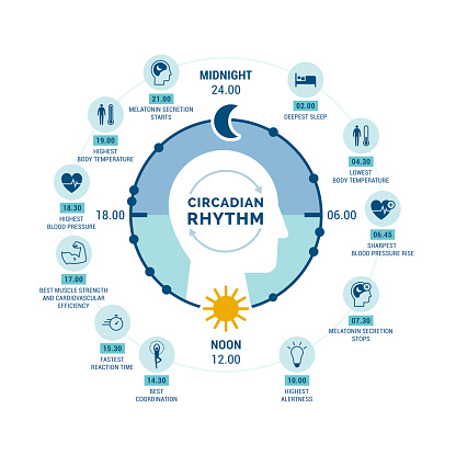 Circadian rhythm and sleep-wake cycle: how exposure to sunlight regulates hormones production and body processes during day and night