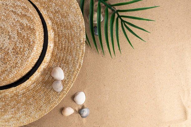 istock Summer vacation concept. Hat and shells on sand background with a copy of space. Summer background 1241845234