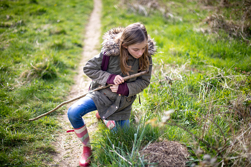 Young girl poking an ants nest with a stick in the middle of the woods.