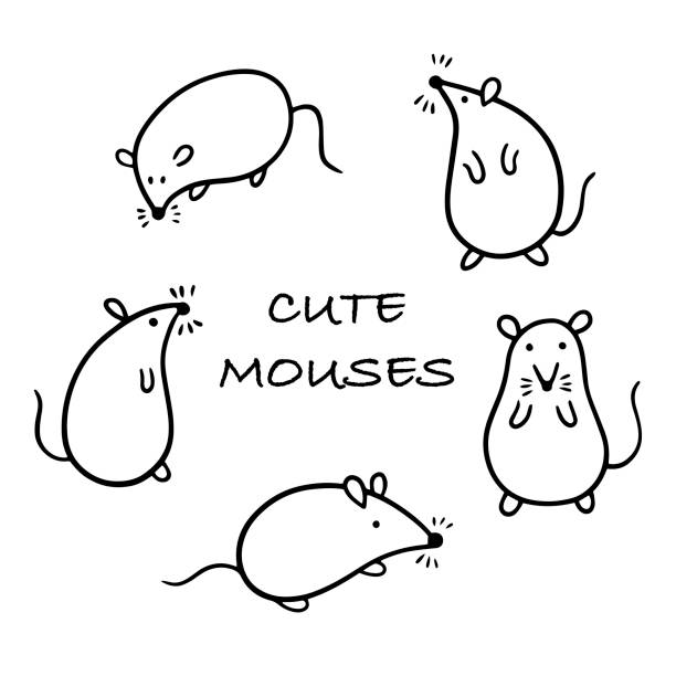 ilustraciones, imágenes clip art, dibujos animados e iconos de stock de conjunto de 5 lindos ratóns blancos y negros en diferentes poses sobre un fondo blanco. - ratón animal
