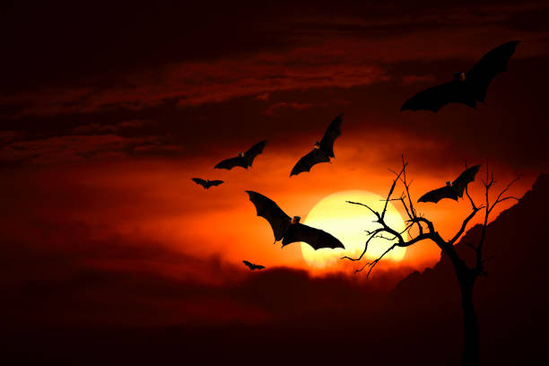 istock Horror in Halloween night with flying bats and tree silhouette, dark evening 1241867854