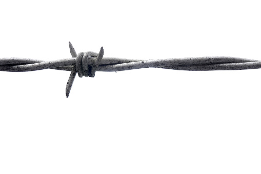 A single barb on a strand of barbed wire.