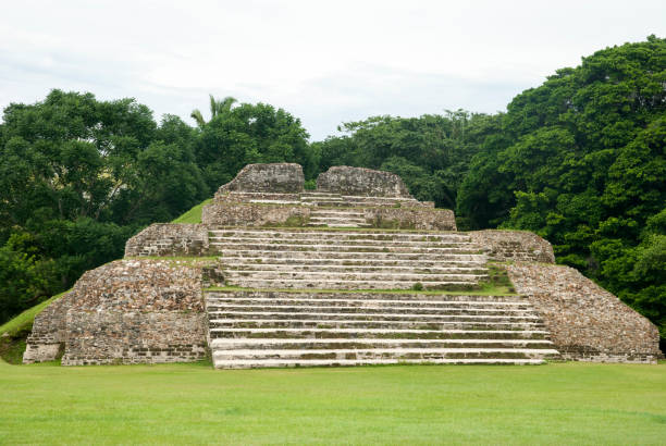 istock Altun Ha Mayan Town Pyramid 1241902557