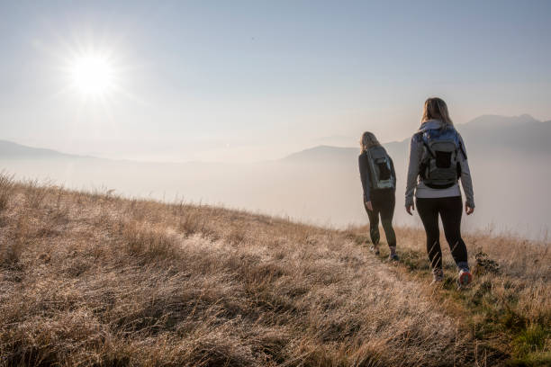 istock Female hikers walk along grassy meadow at sunrise 1241904183