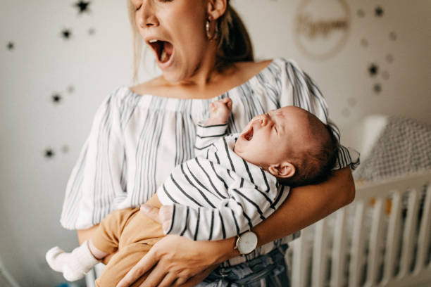 de jongen van de mamma - moe stockfoto's en -beelden