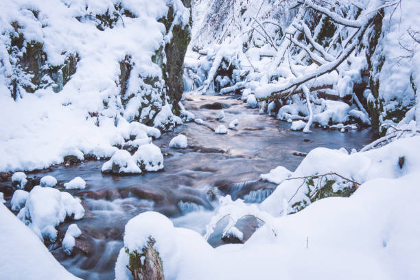 istock Flowing river between rocks and fallen trees in winter 1241930508