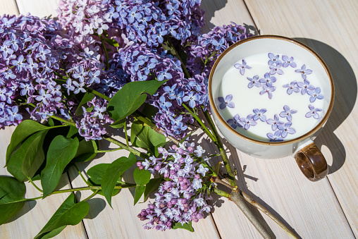Cup with milk and small purple lilac flowers on a wooden table, matte natural still life