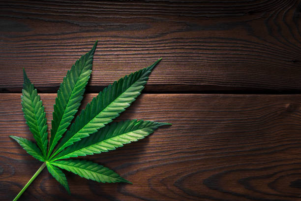 istock Cannabis leaves on old wooden background - Top view 1241942497