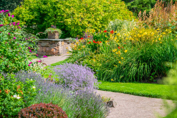 istock Lavish Botanical garden 1241954100