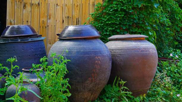 istock Garden and Jang Dok 1241966474
