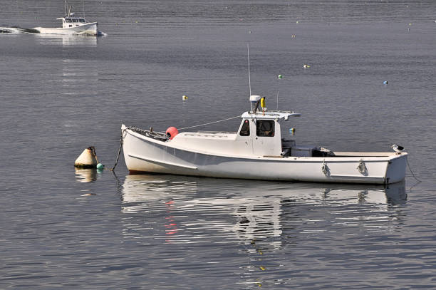 istock Maine lobster boats 1241974819