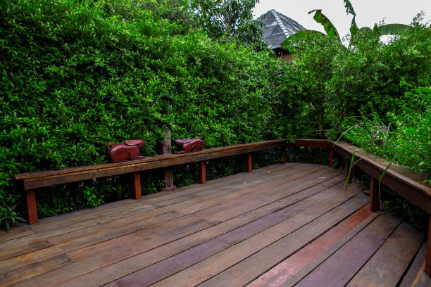 istock Thailand, Table, Rainforest, Wood - Material, Tropical Climate 1241978681