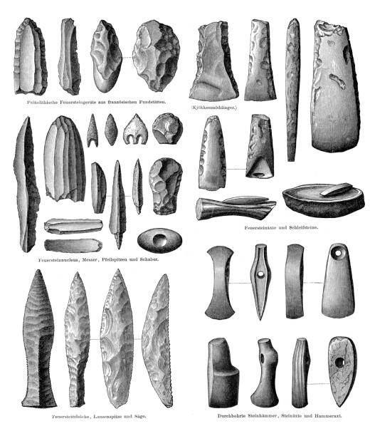 Stone flint tools from stone age 1897 Variety of stone tools from stone age
Original edition from my own archives
Source : "Meyers Konversations-Lexikon" 1897 flint stone stock illustrations