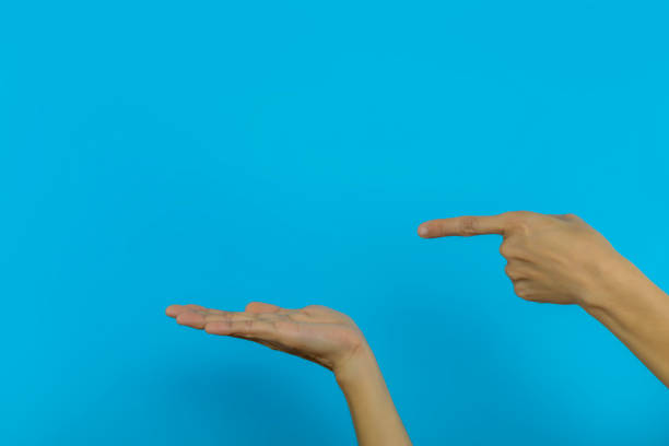 istock Women's hand Two hands One hand pointing the other hand Open hands on blue background wWomen's hand Two hands One hand pointing the other hand Open hands on blue background with copy space. Human hand with copy space. for product or advertising .ith copy 1241988367