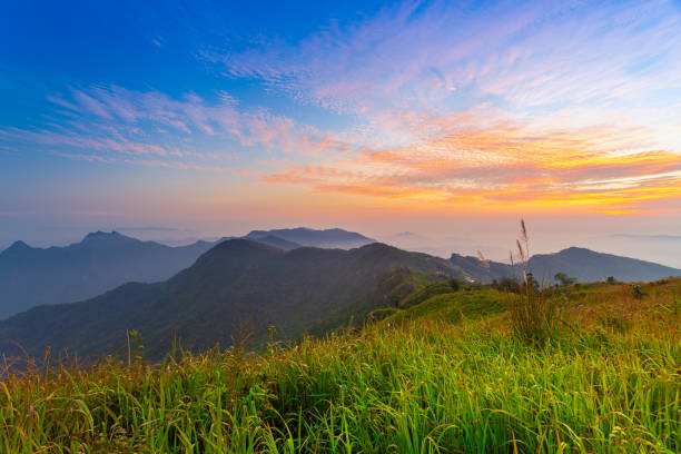 istock Mountain valley during sunrise. Natural summer landscape 1241991192