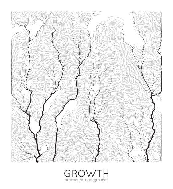 illustrations, cliparts, dessins animés et icônes de modèle de croissance des branches génératrices de vecteurs. texture carrée. lichen comme la structure organique avec des veines. filet biologique carré de monocrome des navires. - nervure