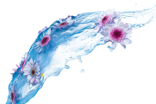 water splash with flowers on white background