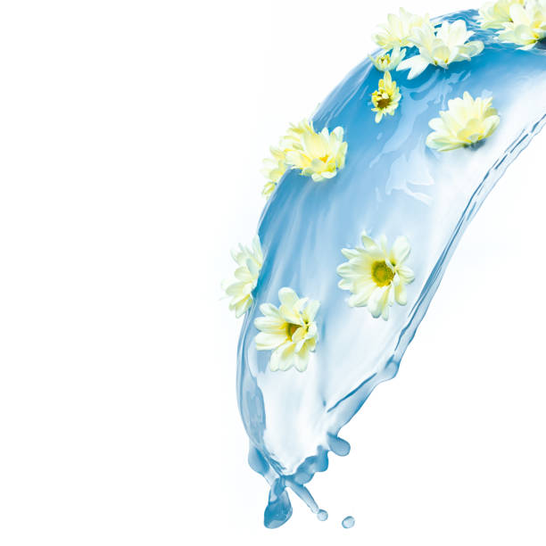 istock Water splash with flowers on white 1242016799