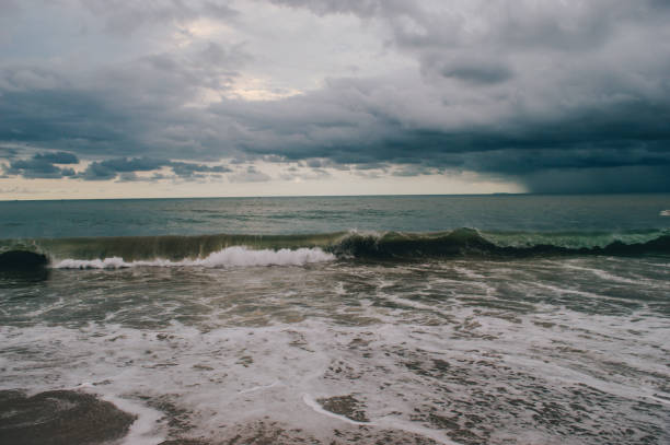 istock Beach in the pacific ocean 1242016827