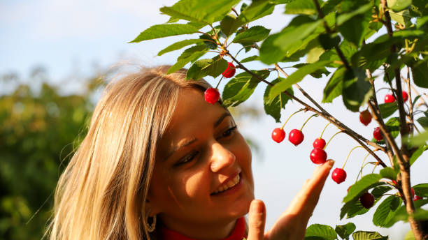 istock Beautiful Girl Checking Cherries 1242021565