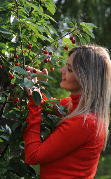 istock Beautiful Girl Checking Cherries 1242022092