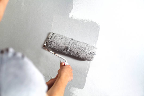 istock Human hand with large roller of paint begins to paint a white wall handicraft master painter training contrast color sample color test tool renovation gray silver craftsman 1242023141