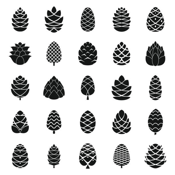 zestaw ikon stożka sosnowego, prosty styl - spruce tree obrazy stock illustrations