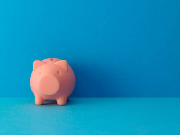 istock piggy bank 1242044722