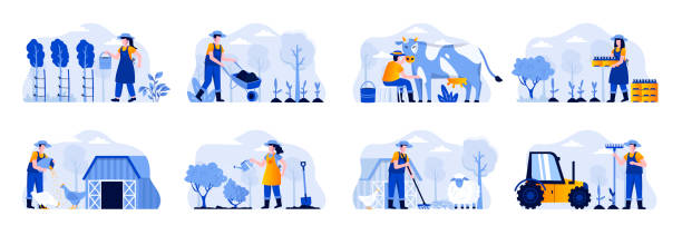 Farming scenes bundle with people characters. Farmers planting and watering crops, gathering harvest, feeding farm animals and milking cow situations. Farming scenes bundle with people characters. Farmers planting and watering crops, gathering harvest, feeding farm animals and milking cow situations. Agricultural workers flat vector illustration. agriculture illustrations stock illustrations