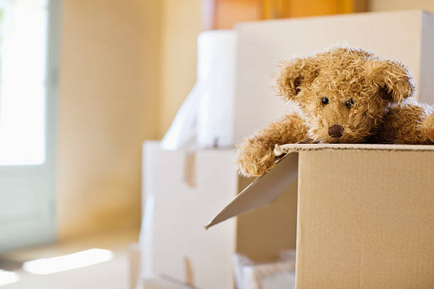 close-up of a soft toy in moving box - 動物像 個照片及圖片檔