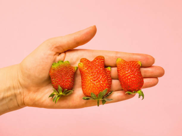 istock Ugly food: unusual strawberry in a woman hands 1242077004