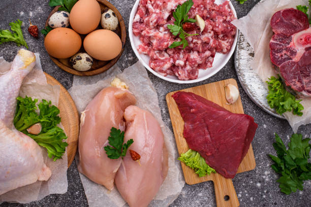 istock Various raw meat, sources of animal protein 1242083934
