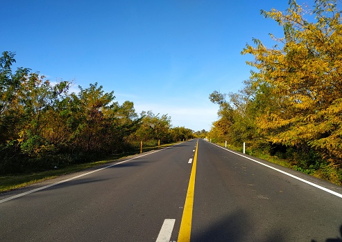 Route with autumn landscape
