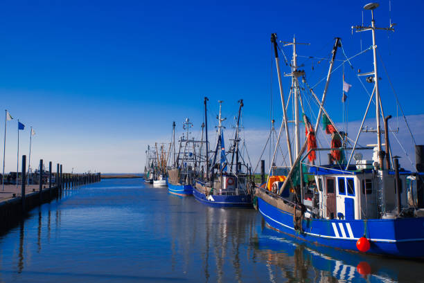 istock trawler on harbour of wremen 1242093021