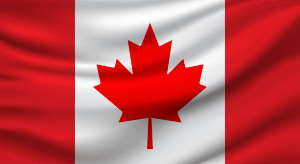 illustrazioni stock, clip art, cartoni animati e icone di tendenza di bandiera del canada. vettore - canadian flag immagine