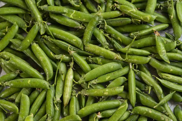 Photo of A lot of fresh and tasty green peas. Healthy food