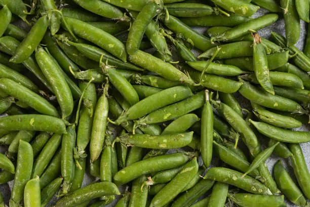 Photo of A lot of fresh and tasty green peas. Healthy food