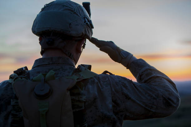 soldato salutando al tramonto - armed forces military marines veteran foto e immagini stock