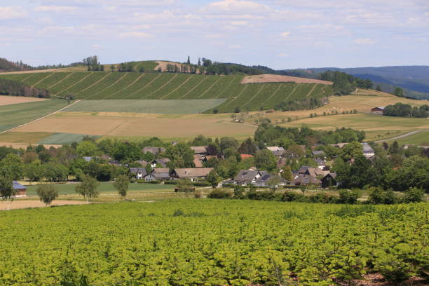 istock Idyll and harmony in the Sauerland 1242116733