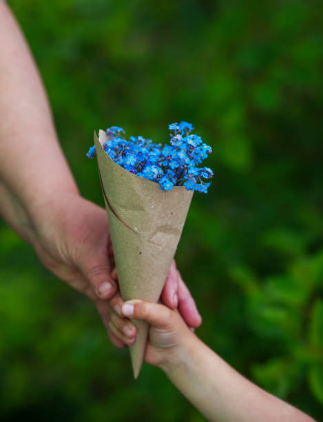 mains d’une personne âgée prendre de la paume de l’enfant un bouquet de fleurs sauvages bleu oublier moi nots dans un paquet en papier - give me photos et images de collection