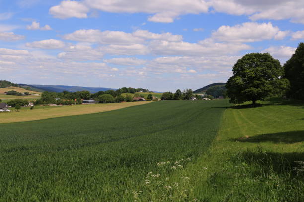 istock Idyll and harmony in the Sauerland 1242123316