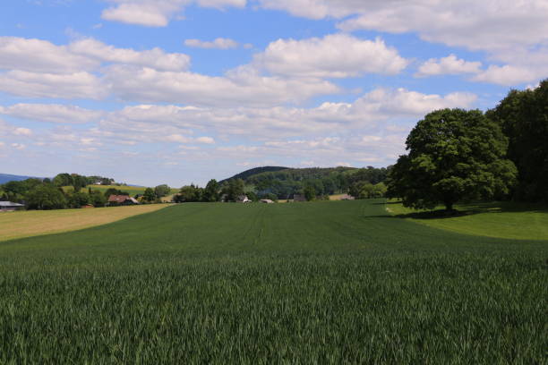 istock Idyll and harmony in the Sauerland 1242126912