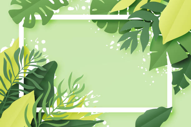 istock Green tropical leaves frame. Summer background. Paper cut style. Vector illustration 1242127359